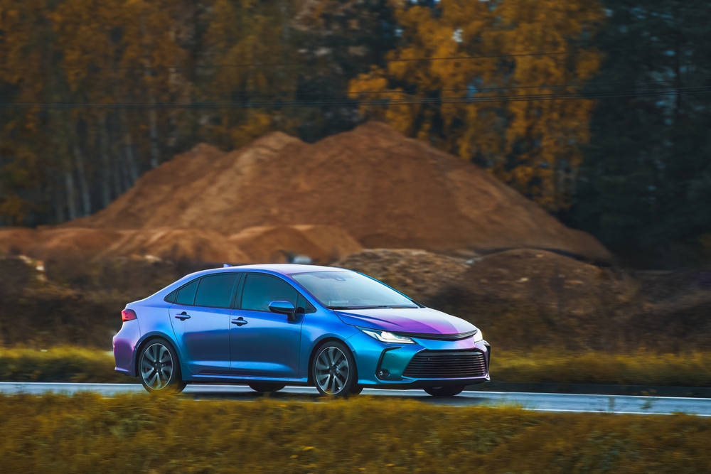 Purchase a chameleon tint today